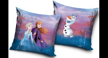 Disney Bevroren Fluwelen Kussensloop 40x40 cm