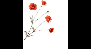 Buitengewoon de boet - Cosmos oranje 92 cm kunstbloem