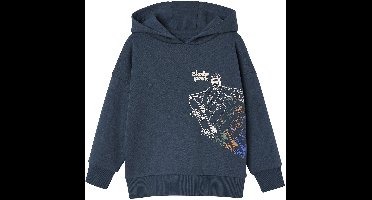 Vertbaudet Sweater met capuchon met skateprint