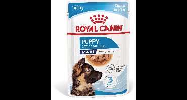 Royal Canin Maxi Puppy  | 10140