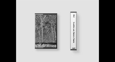 Pile - Sunshine And Balance Beams (MC)