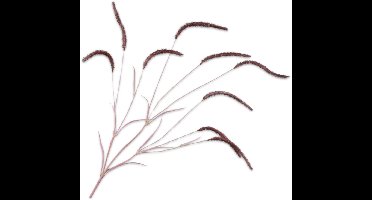 Silk-ka Kunstbloem-Kunsttak Grastak Bordeaux 105 cm