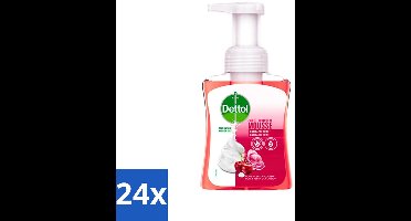 Dettol - Foam Handzeep - Rozen & Kersenbloesem - Zacht Mouse - 250 ml - Voordeelverpakking - 24 stuks