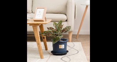 Set van 3 onderzetters, zware onderzetters, verschillende maten en kleuren, voor bloempotten binnen en buiten - 19 cm, blauw