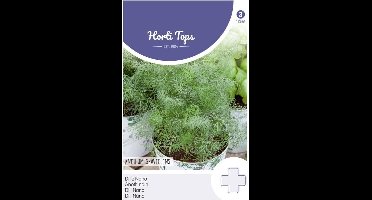 Hortitops - Dille Nano (Anethum graveolens)