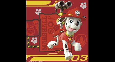 Ravensburger Ravenburger PAW Patrol puzzel 25 + 26 + 49 stukjes