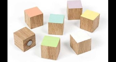 Trendform Houten Blokjes Magneten