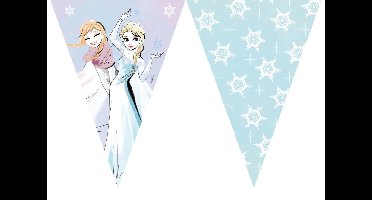 Partywinkel Frozen Slingers Sparkle - 2,3 meter met 9 vlaggen van plastic