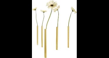 Peleg Design Magnetic vases - gold - set 5 pcs