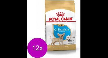 Royal Canin Chihuahua - Puppy-Hondenvoer - 12 x 500 g