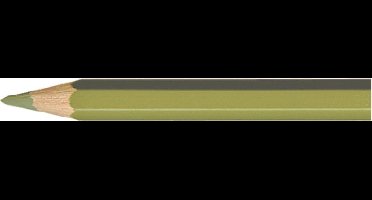 Caran d'Ache Pablo kleurpotlood 249 olive