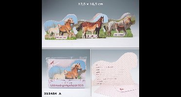 Depesche - Horses Dreams uitnodigingen