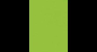 Folia Tekenpapier licht groen 50X70/130G
