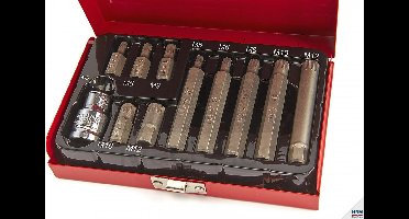 11 Delige Spline Bitset met 1/2" adapter
