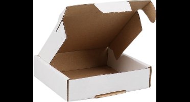 SendProof® Brievenbusdoos, 110 x 110 x 28 mm, met klep, enkele golf, wit (20 stuks).