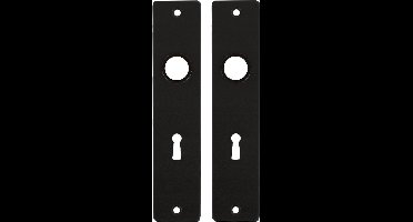 AMI Binnendeurschilden SL56 180/41 RH Zwart KS BB 56 BE