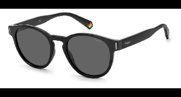 POLAROID Zonnebril (PLD6175/S) Volwassenen Zilverkleurig Volledig omrand Polarizerend