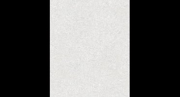 Behang - Betonlook - Wanddecoratie - Vliesbehang - Vintage Deluxe - 0,53 x 10,05 M.