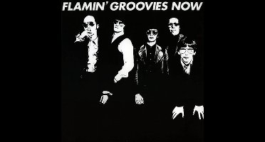 Groovies, Flamin - Now (LP)