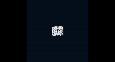 A Swarm Of The Sun - The Woods (LP)