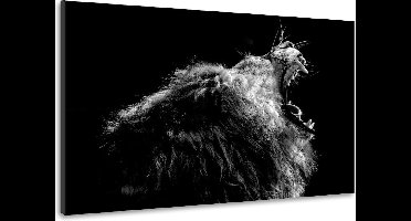 Schilderij - Brullende Leeuw, 100x70cm. Premium print, dieren
