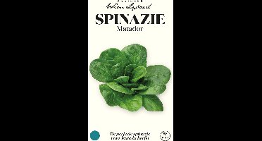 Spinazie 'Matador' - Perfect voor de Lenteteelt - Zaaigoed Wim Lybaert