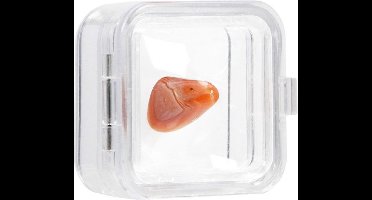 SAFE Zweeframen - 39 x 39 mm - Transparant - flexibel presentatie venster met klemsluiting - per 5 stuks