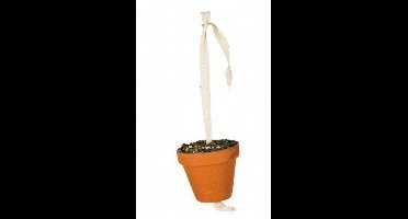 Jr Farm Kleipot Grasparkieten En Kanaries - Vogelspeelgoed - 9x5x17.5 cm 80 g