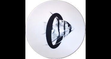 Letterbord O met Maanvis