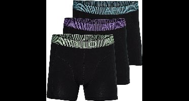Apollo heren boxershorts - maat S - Black colours - 3-pack