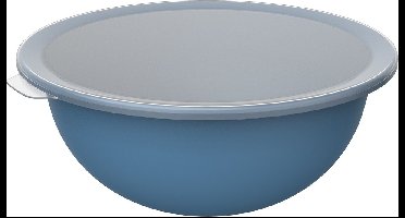 Rotho Schaal met Deksel 4.8L Horizon Blauw