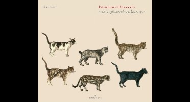 Arcadia - Barsanti: Sonate A Flauto Solo Con Basso Op.I, 1724 (CD)