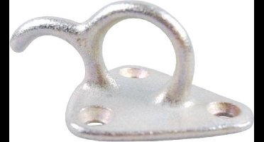 Bindhaak met oog opschroef 50x45mm