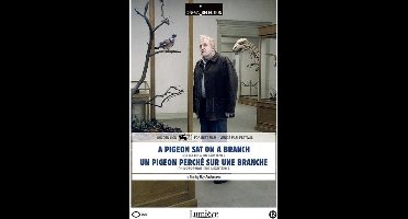 Pigeon Sat On A Branch Reflecting On Existence