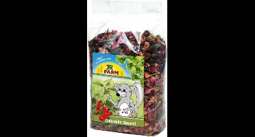 JR Farm Chinchilla Speciaal 500g - 500g