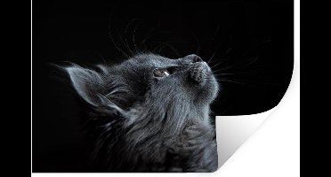 Muurstickers - Sticker Folie - Poes - Licht - Zwart - 30x20 cm - Plakfolie - Muurstickers Kinderkamer - Zelfklevend Behang - Zelfklevend behangpapier - Stickerfolie
