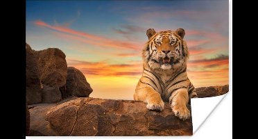 Poster Tijger - Zon - Rotsen - 30x20 cm