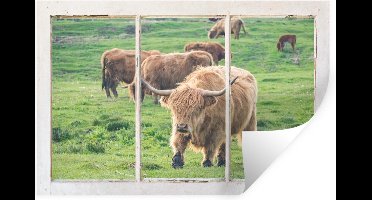 Muurstickers - Sticker Folie - Doorkijk - Schotse hooglander - Dieren - 30x20 cm - Plakfolie - Muurstickers Kinderkamer - Zelfklevend Behang - Zelfklevend behangpapier - Stickerfolie