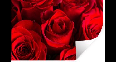 Muurstickers - Sticker Folie - Rozen - Rood - Bloem - 30x20 cm - Plakfolie - Muurstickers Kinderkamer - Zelfklevend Behang - Zelfklevend behangpapier - Stickerfolie
