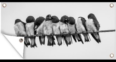 Tuinposter Vogel - Mus - Kabel - 60x30 cm - Tuindoek - Buitenposter