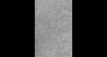 Wecon home Basics - Emilia - Hoogpolig vloerkleed - 200x290 - zilver grijs - Superzacht Modern Vloerkleed