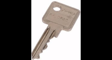 Eaton KEY-E10/30-GS Sleutel 1 stuk(s)