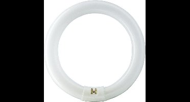 Philips TL-E Circular Spaarlamp G10q - 32W - Koel Wit Licht - Niet Dimbaar - 2 stuks