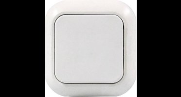 REV 005406 Uitschakelaar, Wisselschakelaar Wit