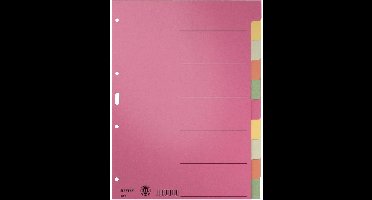 Leitz 43580000 Register DIN A4 blanco Karton Meerdere kleuren 6 tabbladen 43580000