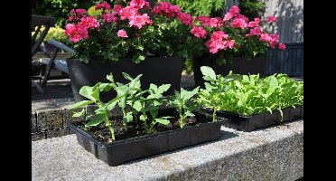 SLIMKWEKEN Seed tray 37,5 x 23 x 6 cm - set a 12