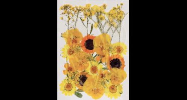 Boeket van perste bloemen Artemio