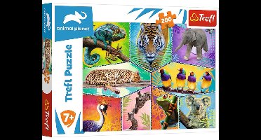Trefl Trefl 200 - In een exotische wereld / Discovery Animal Planet