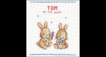 borduurpakket PN0200385 haasjes, ijsparty, geboorte