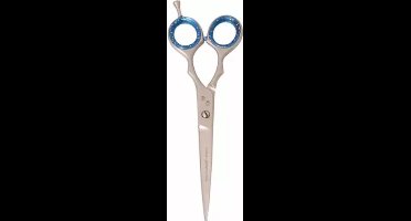 Tools-2-Groom - 51650 Schaar Recht - 16.5 CM